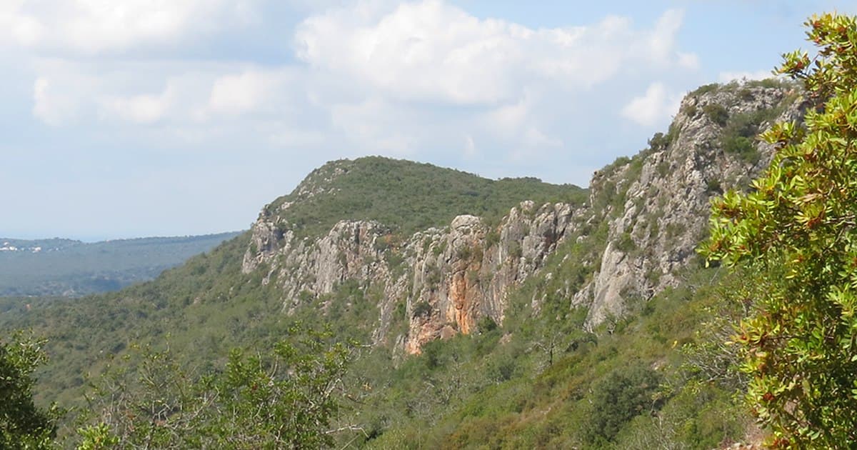 Rocha da Pena, paisagem protegida no barrocal